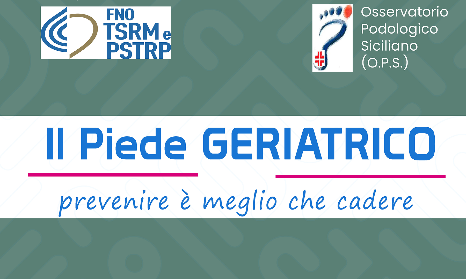 Il Piede Geriatrico